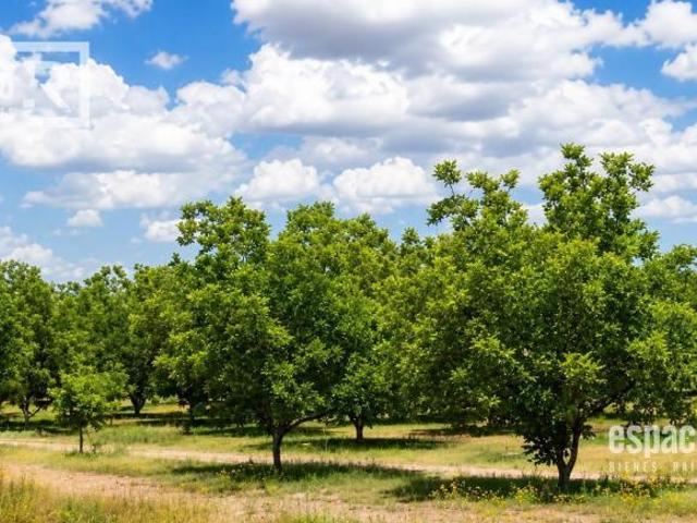 Rancho en venta en Chihuahua