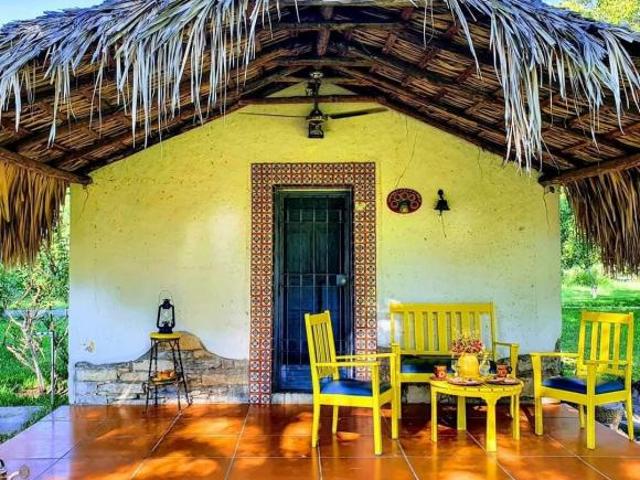 Huerta nogalera en el pueblo mágico Bustamante, N.L