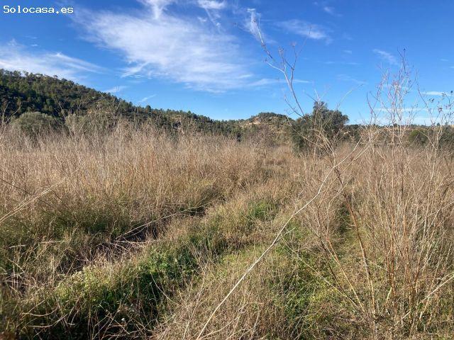 Local Comercial en venta en Terra Alta, Catalunya