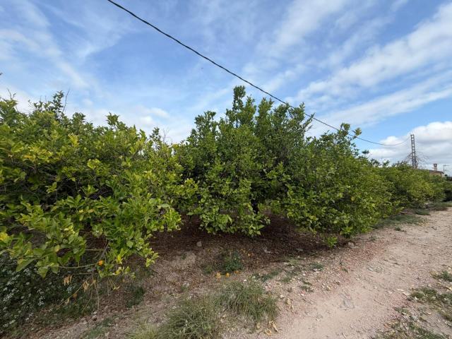 Terreno en venta en Molins, el Baix Segura / La Vega Baja