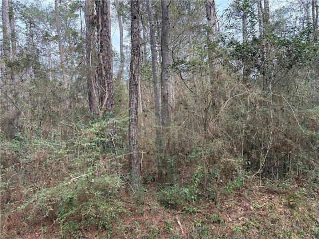 Land for sale in Lacombe, Louisiana