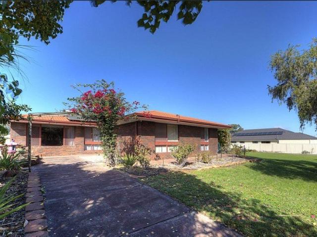 House for rent in Wattle Grove, Western Australia