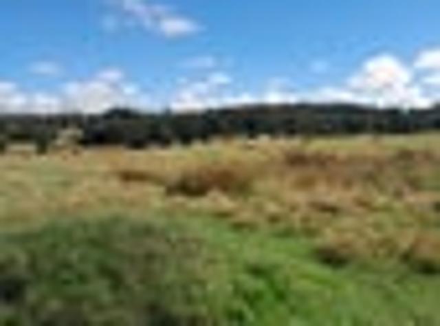 Land for sale in Karetu, Northland