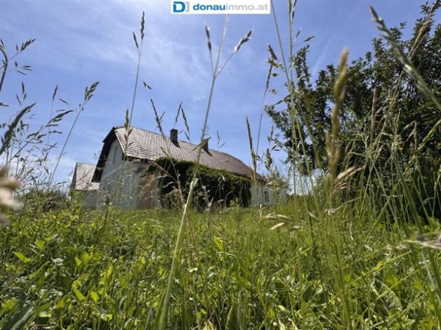 Haus kaufen in Loosdorf, Niederösterreich