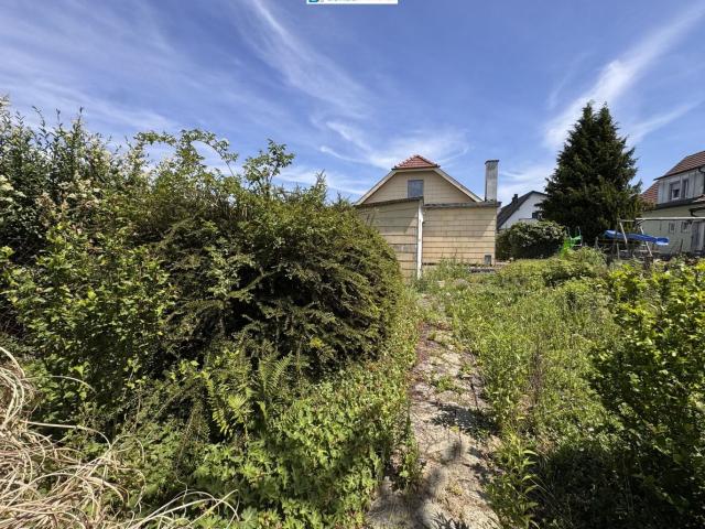 Haus kaufen in Loosdorf, Niederösterreich