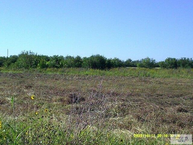 Land for sale in Rio Hondo, Texas