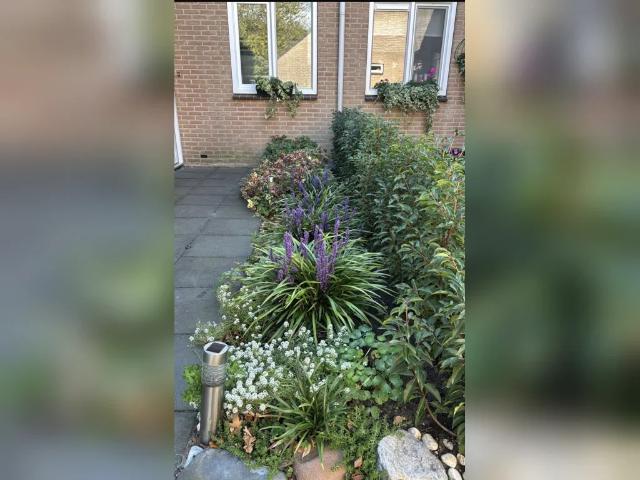 Woning te huur in Gelderland