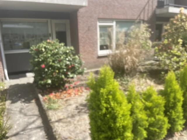Woning te huur in Aarle-rixtel, Noord Brabant