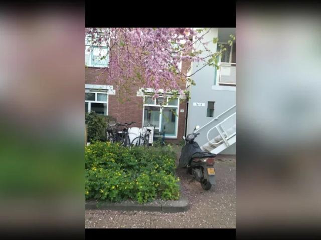 Woning te huur in Centrum West, Emmeloord