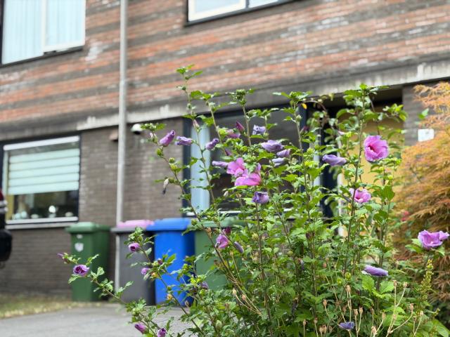Woning te huur in Buitenhof, Delft