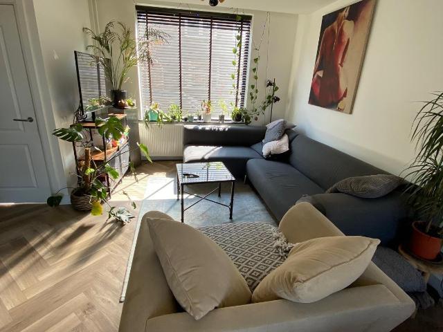 Woning te huur in Woensel-Zuid, Noord Brabant