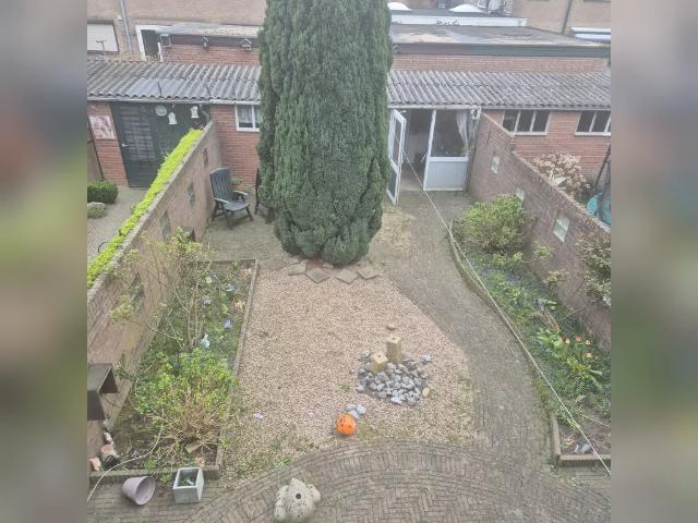 Woning te huur in Huissen, Gelderland