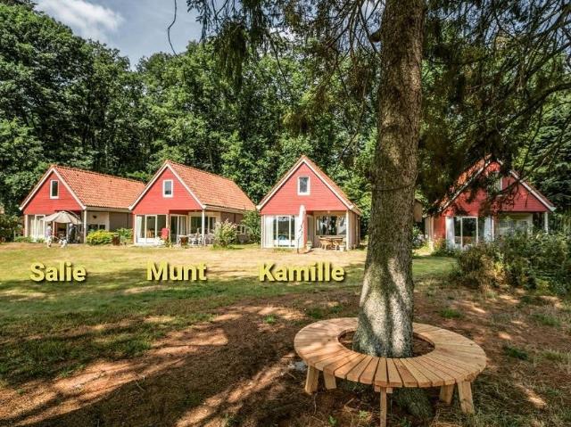 Woning te huur in Loenen, Gelderland