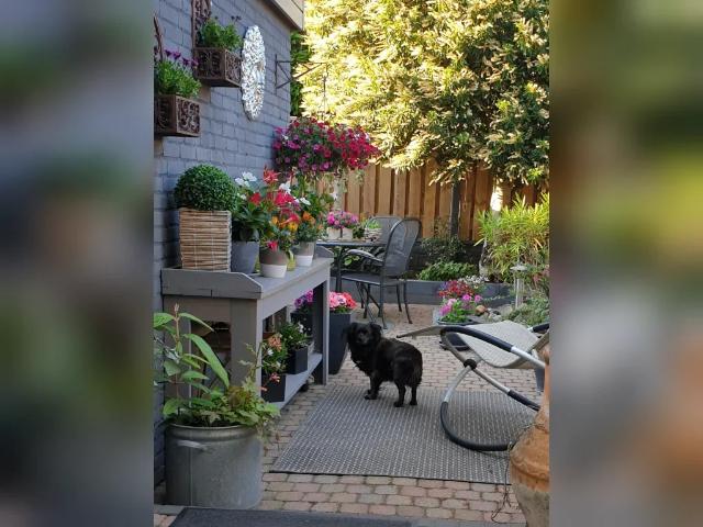 Woning te huur in Nijmegen