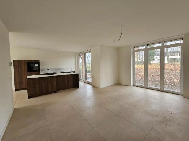 Maison location à Maaseik, Limburg