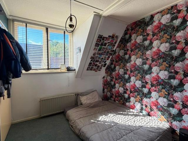 Woning te huur in Oosterhesselen, Coevorden