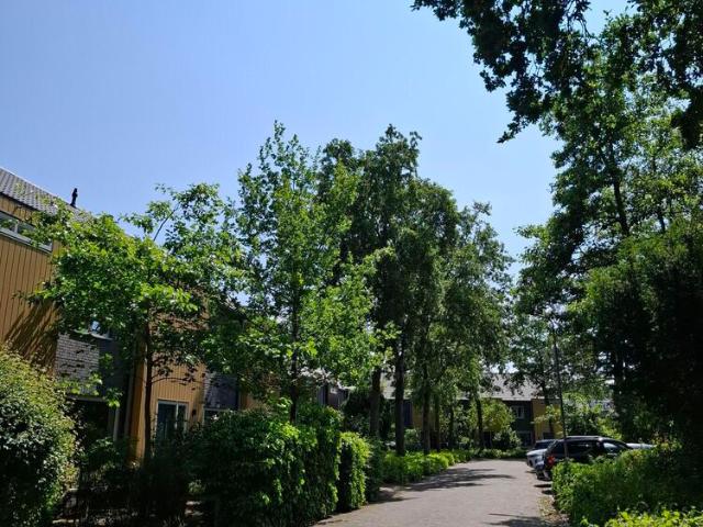 Woning te huur in Bergen, Noord Holland