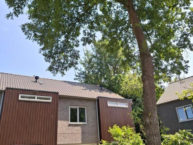 Woning te huur in Bergen, Noord Holland