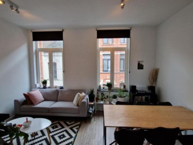Maison location à Dendermonde