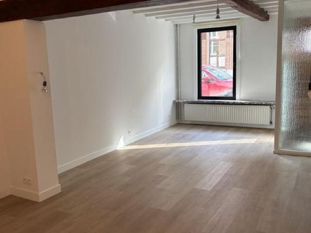 Maison location à Sint Macharius / Sint Baafsdorp, Gent