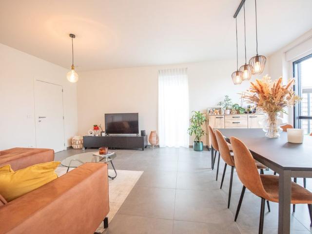 Maison location à Olsene, Oost-Vlaanderen