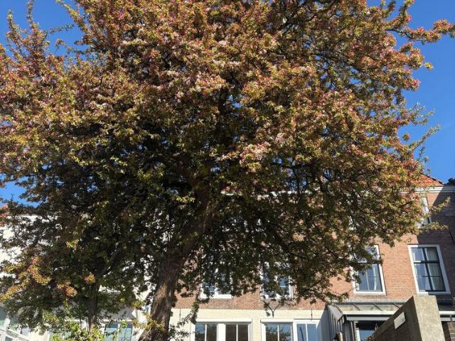 Woning te huur in Zeeland