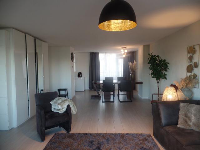 Landhuis te huur in Spijkenisse, De Schenkel