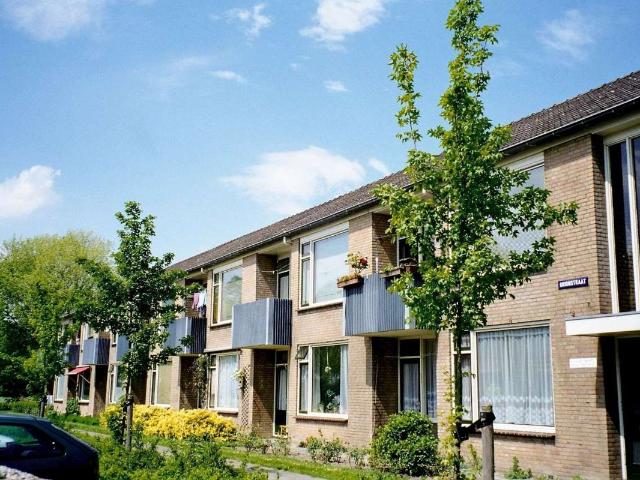 Woning te huur in Emmeloord, Flevoland