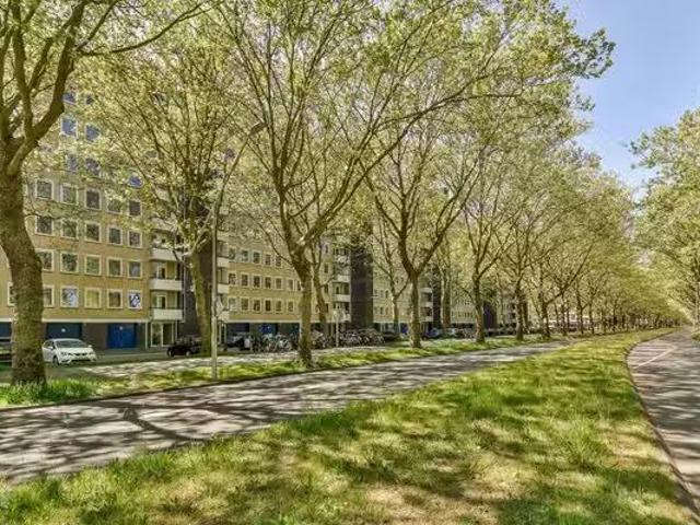 Woning te koop in Zuid, Amsterdam
