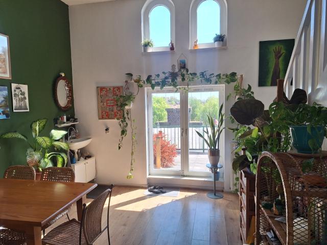 Kamer te huur in Groningen