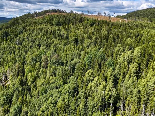 Bostad till salu i Sundsvall, Västernorrlands län