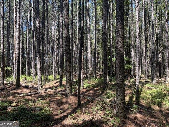 Land for sale in Elbert, Georgia