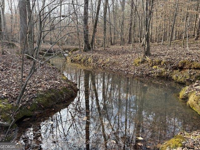 Land for sale in Elberton, Elbert County
