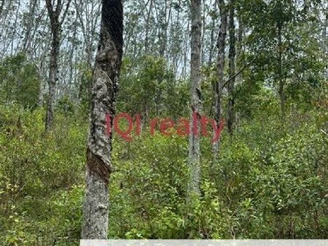 Shop for sale in Tringganu