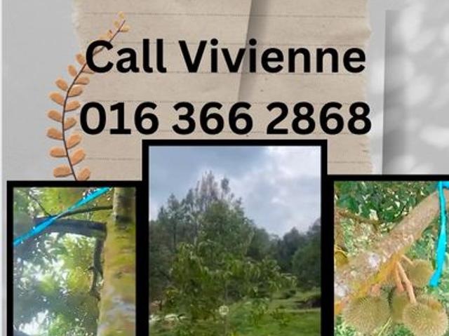 Warehouse for sale in Selangor