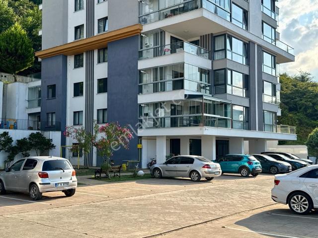 Teyyaredüzü, Giresun Merkez içerisinde kiralık mülk
