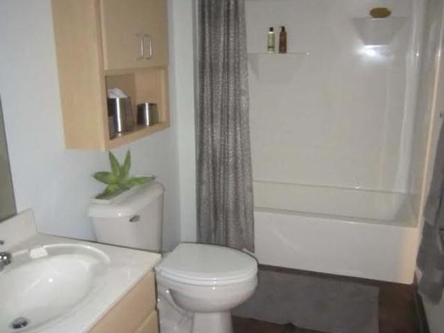 Apartment for rent in South Campus, Madison