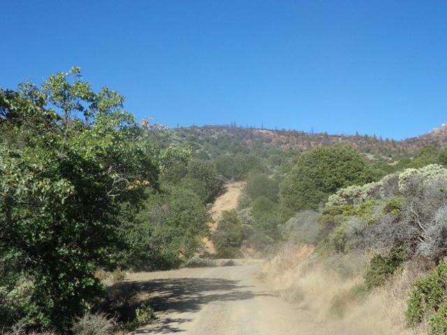 Land for sale in Yreka, California