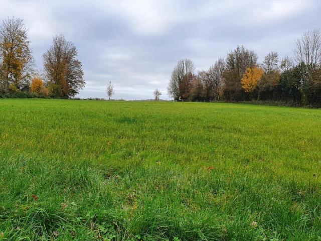 Terrain vente à Humières, Pas-de-Calais
