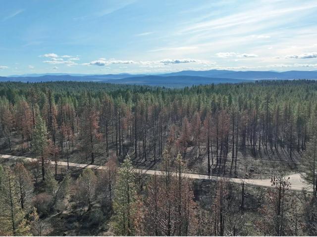 Land for sale in Oregonia