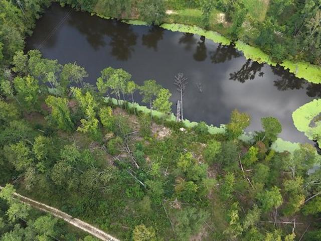 Land for sale in Trenton, South Carolina