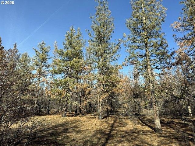 Land for sale in Oregonia