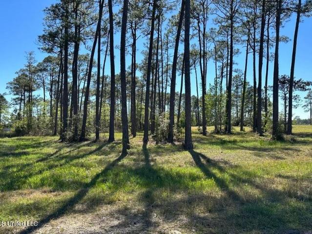 Land for sale in Mississippi