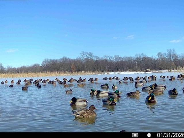 Farm for sale in Louisiana