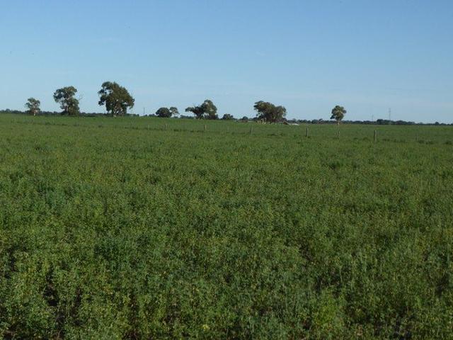 Property for sale in Keith, South Australia