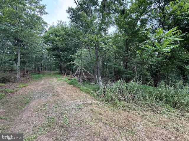 Land for sale in Berkeley Springs, West Virginia