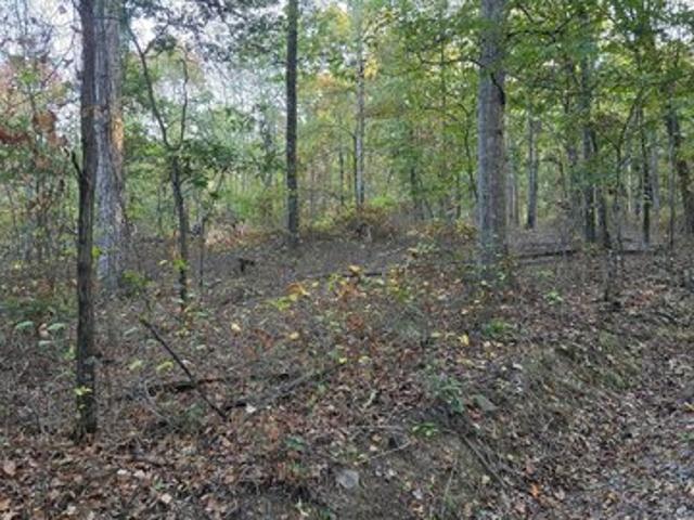 Land for sale in Berkeley Springs, West Virginia
