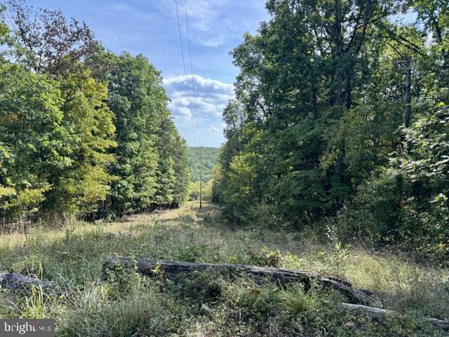 Land for sale in Bath, Morgan County