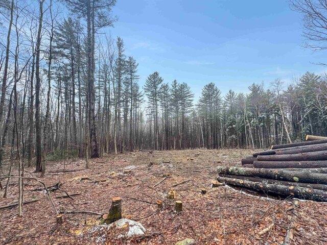 Land for sale in Wardsboro, Vermont