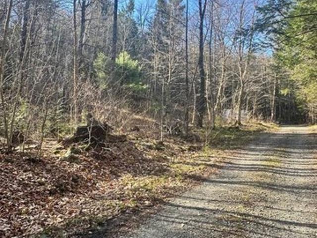 Land for sale in Marlboro, Vermont